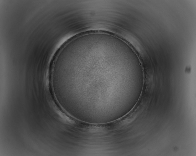 X0000102521076200808081422