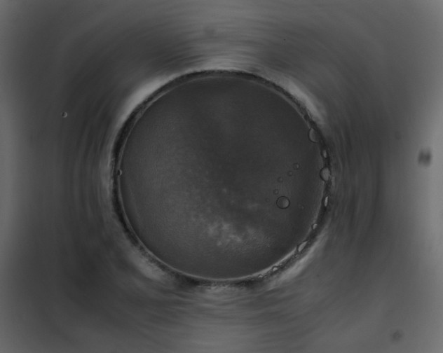 X0000102521077200808081422