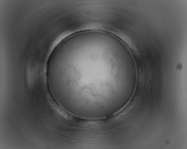 X0000102521078200808081422