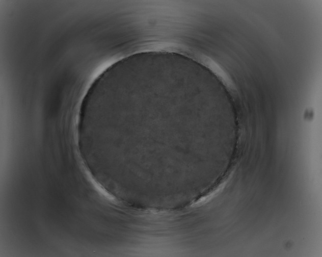 X0000102521079200808081422