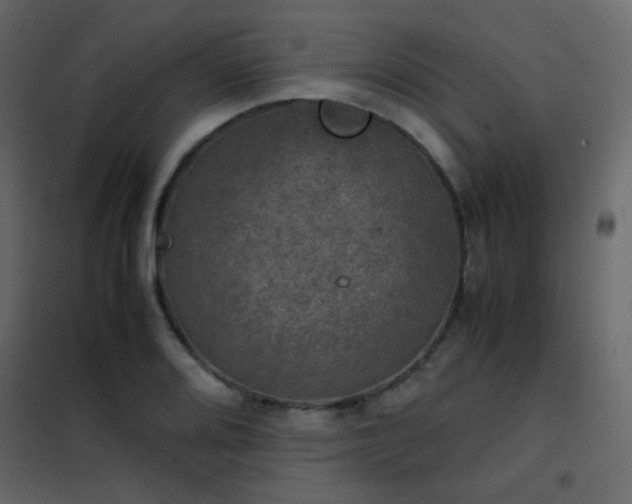 X0000102521080200808081422