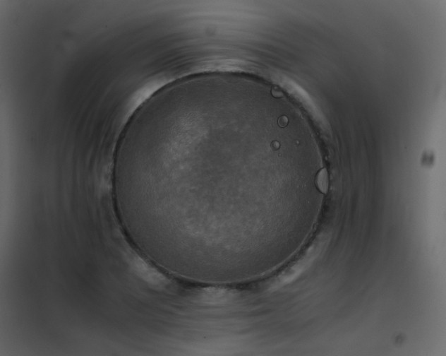 X0000102521081200808081422