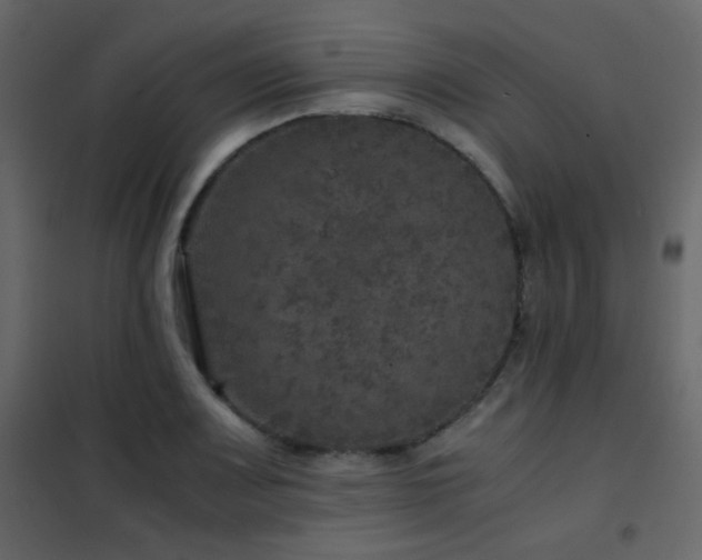 X0000102521083200808081422