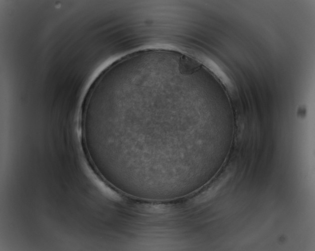 X0000102521084200808081422