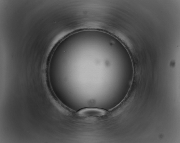 X0000102521085200808081422