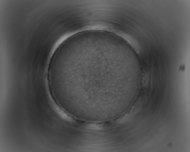 X0000102521086200808081422