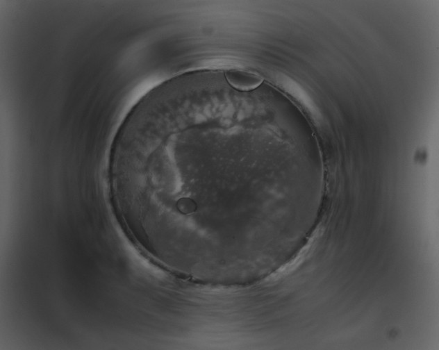 X0000102521087200808081422