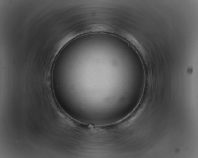 X0000102521089200808081422