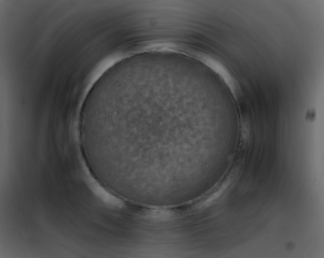 X0000102521090200808081422