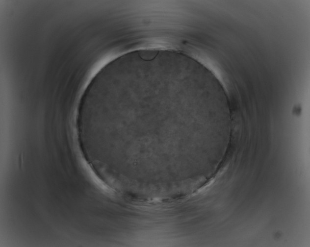 X0000102521091200808081422