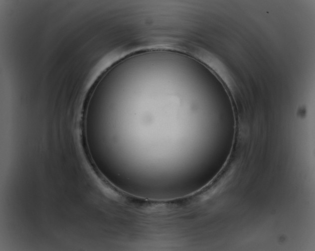 X0000102521093200808081422