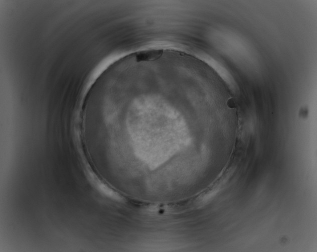 X0000102521094200808081422