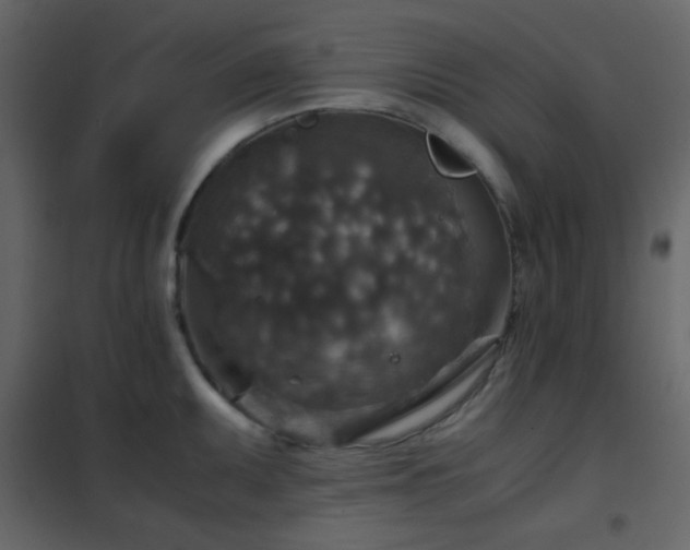 X0000102521095200808081422