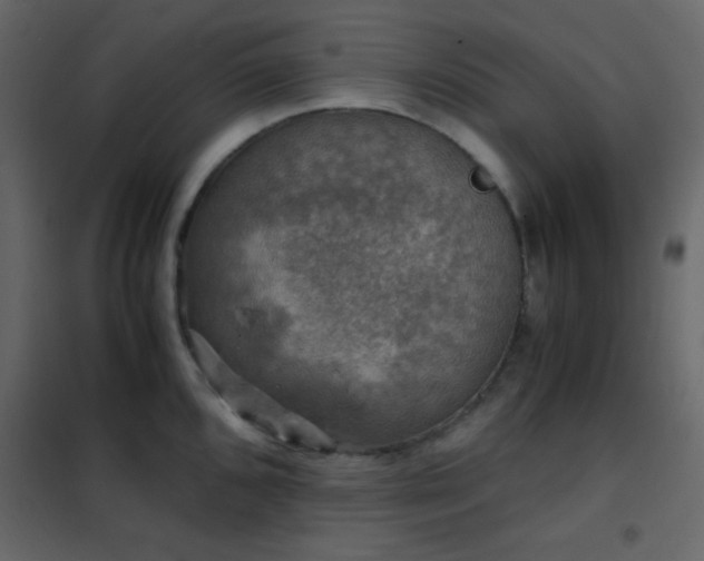 X0000102521096200808081422