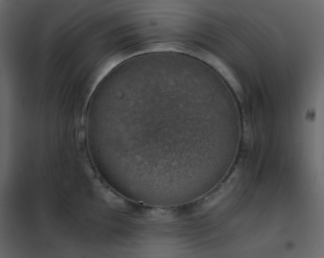 X0000102521097200808081422