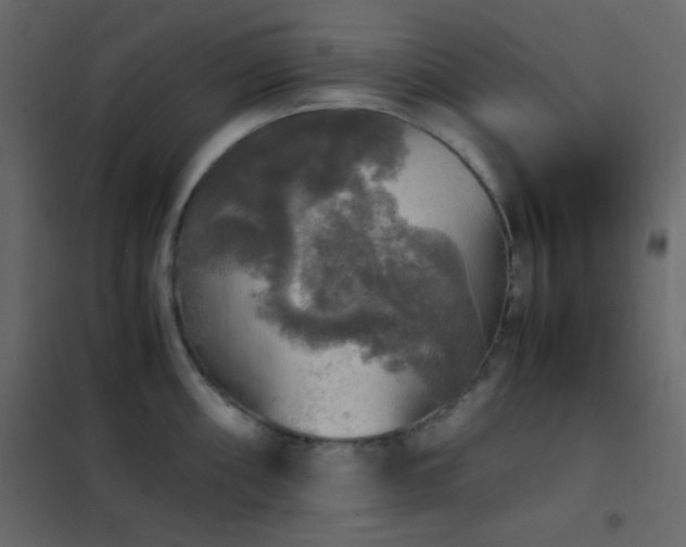 X0000102521098200808081422