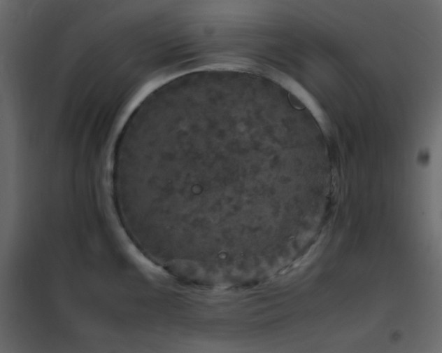 X0000102521099200808081422