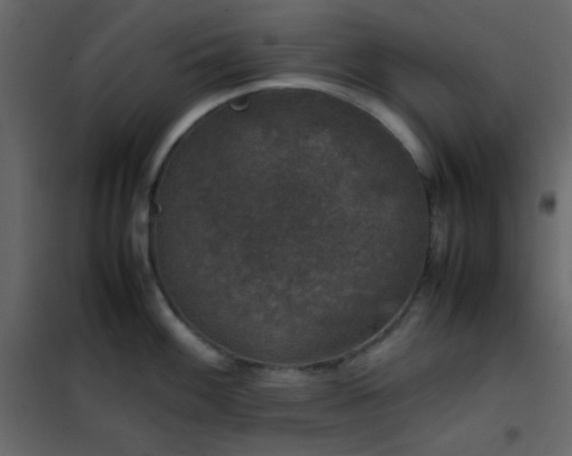 X0000102521100200808081422