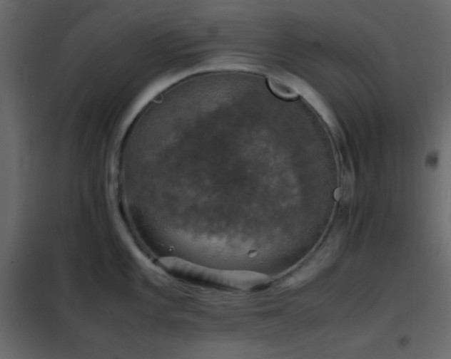 X0000102521101200808081422