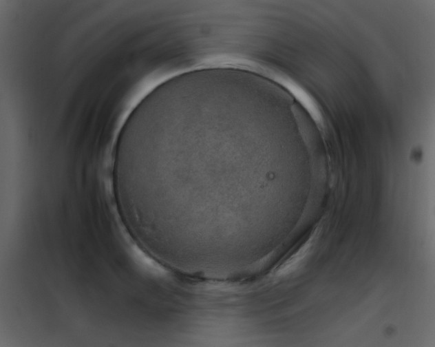 X0000102521102200808081422