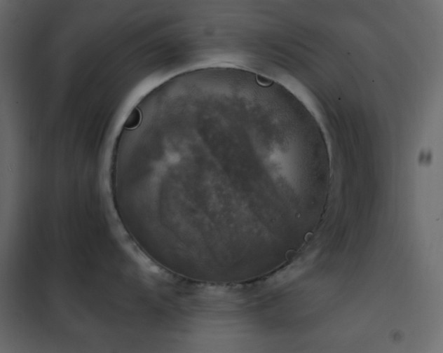 X0000102521104200808081422