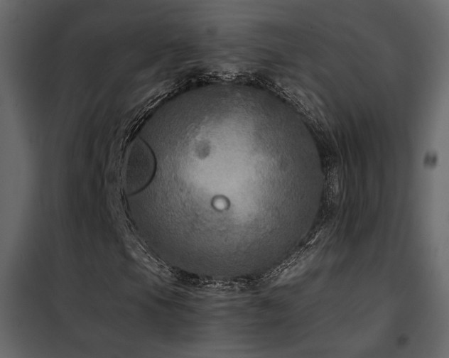 X0000102521105200808081421