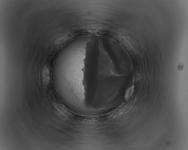 X0000102521106200808081421