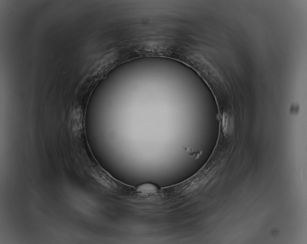 X0000102521107200808081421