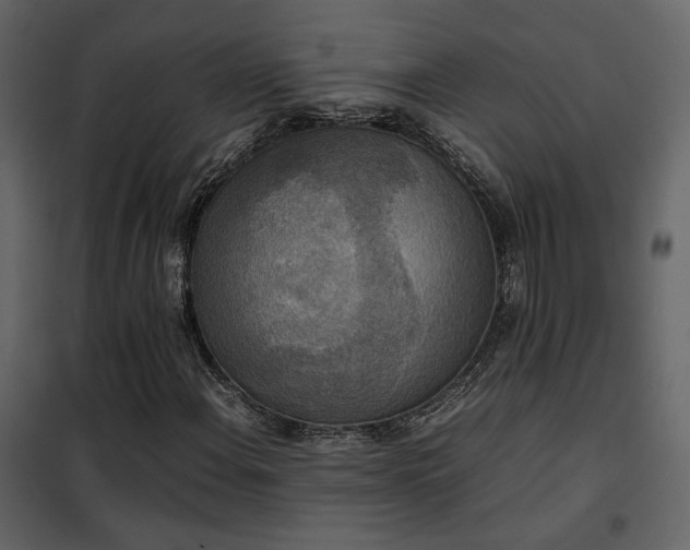 X0000102521108200808081421