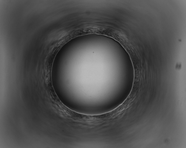 X0000102521109200808081421