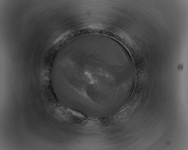 X0000102521110200808081421