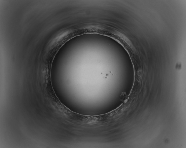 X0000102521111200808081421