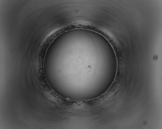 X0000102521112200808081421