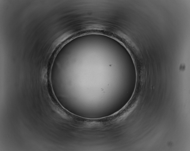 X0000102521113200808081421