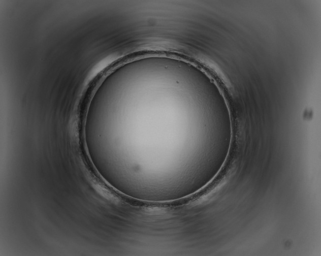 X0000102521114200808081421