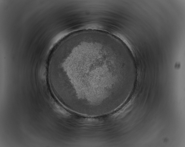 X0000102521115200808081421