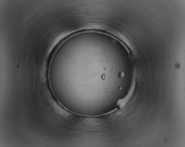 X0000102521116200808081421