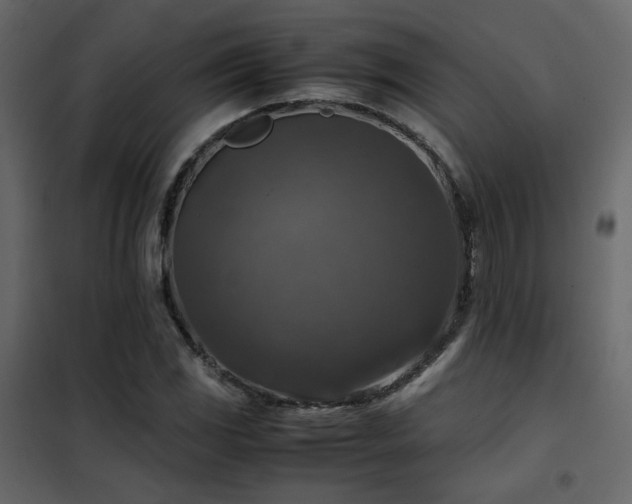 X0000102521117200808081421