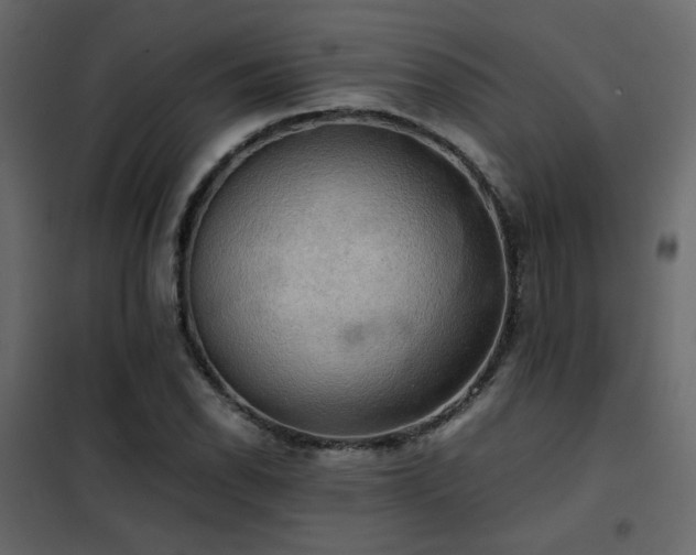 X0000102521118200808081421