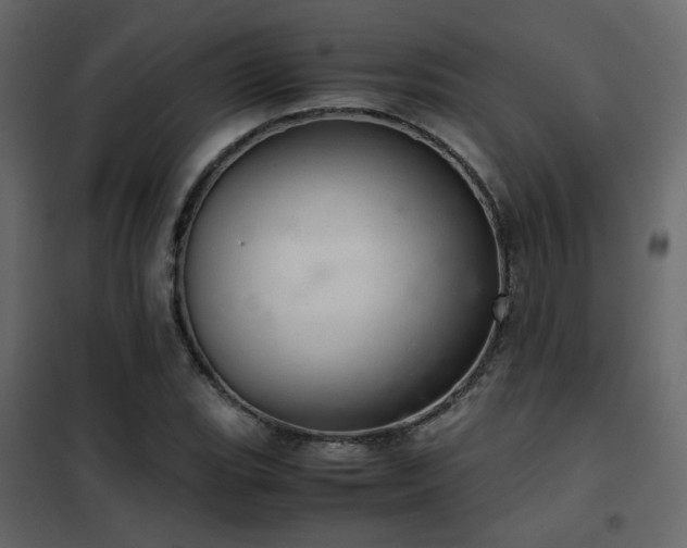 X0000102521119200808081421