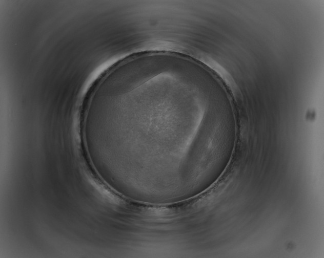 X0000102521120200808081421