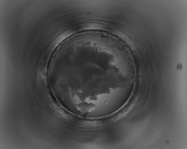 X0000102521121200808081421