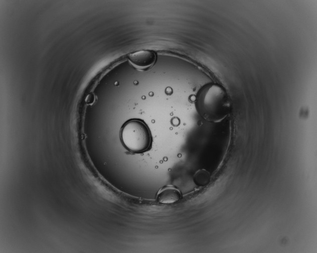 X0000102521122200808081421