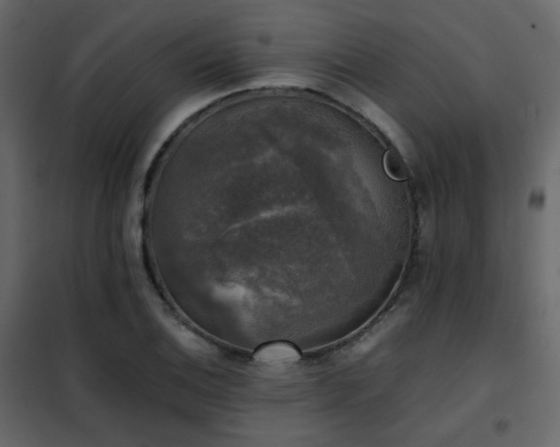 X0000102521124200808081421