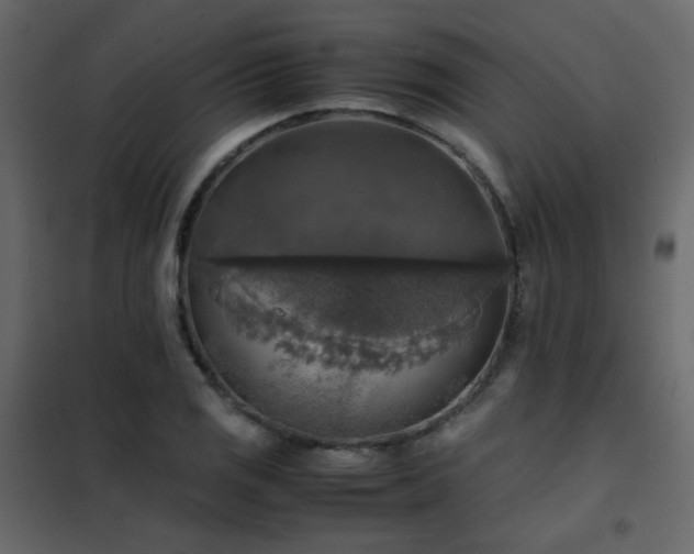 X0000102521125200808081421