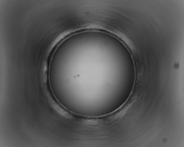 X0000102521126200808081421