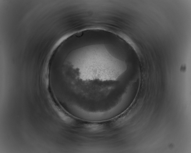 X0000102521127200808081421