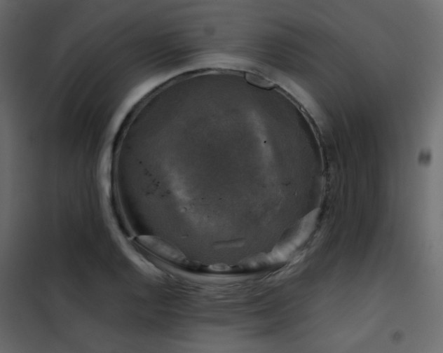 X0000102521128200808081421