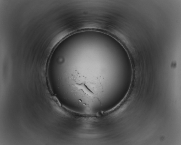 X0000102521129200808081421