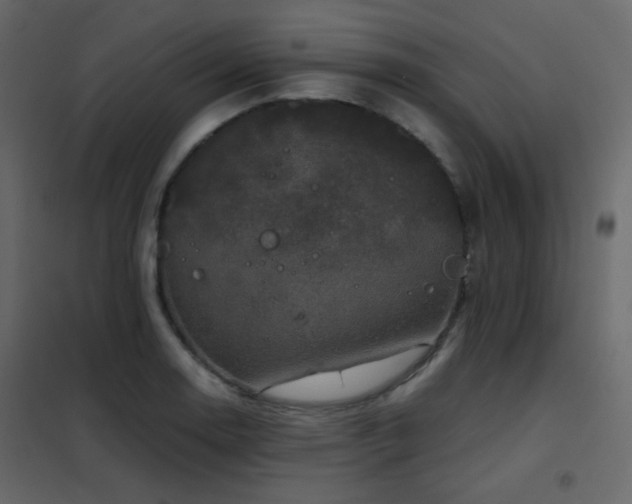 X0000102521130200808081421